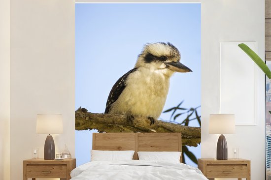 Papier peint - Papier peint Un Papier peint photo blanc perché sur un arbre en Australie - Largeur 225 cm x hauteur 350 cm