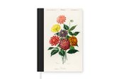 Carnet - Carnet d'écriture - Botanica - Vintage - Fleurs - Carnet - Format A5 - Bloc-notes