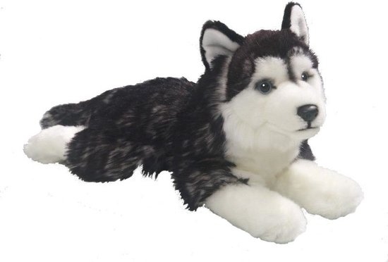 Foto: Pluche liggende husky honden knuffel 32 cm