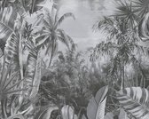 PALMBOMEN EN BLADEREN BEHANG | Jungle & Botanisch - grijs donker grijs - A.S. Création My Home My Spa