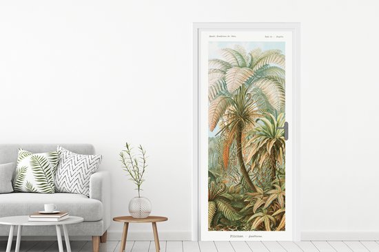 Deursticker Vintage - Oude meesters - Varens - Planten - Natuur - 90x205 cm - Deurposter