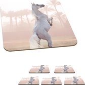 Onderzetters voor glazen - Paard - Zand - Palmboom - 10x10 cm - Glasonderzetters - 6 stuks