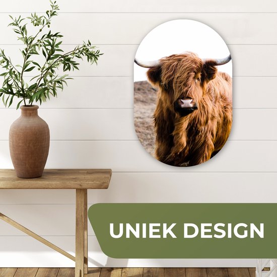 Ovale Mural - Ovale Mural - Décoration murale Plastique - Peinture Ovale - Highlander écossais - Paysage - Vache - Marron - Animaux - Nature - 40x60 cm - Forme miroir ovale sur plastique