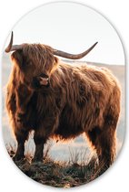 Ovale mural - Ovale mural - Décoration murale murale en plastique - Tableau ovale - Highlander écossais - Animaux - Rural - Paysage - Vache - Nature - 60x90 cm - Forme miroir ovale sur plastique