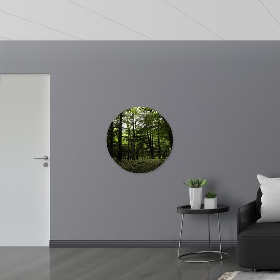 WallClassics - Muursticker Cercle - Seulement du vert dans la forêt - 80x80 cm Photo sur Muursticker