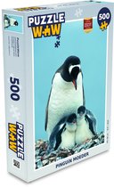 Puzzel Dieren - Pinguïns - Kuiken - Legpuzzel - Puzzel 500 stukjes