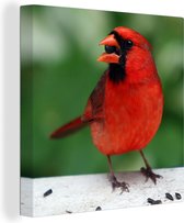 Cardinal rouge vif avec une graine dans la bouche Toile 90x90 cm - Tirage photo sur toile (Décoration murale salon / chambre)