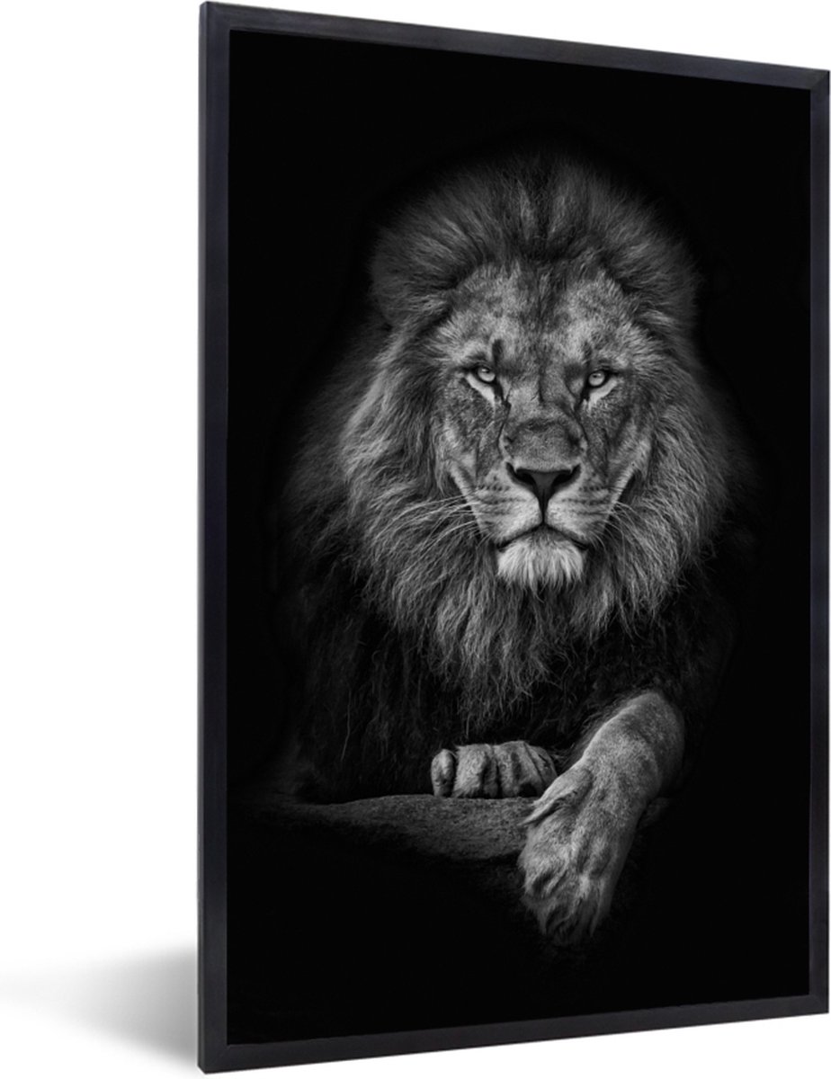 Cadre photo avec affiche - Animaux - Éléphant - Lion - 60x40 cm - Cadre  pour affiche | bol