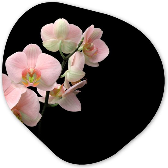 Organische Wanddecoratie - Kunststof Muurdecoratie- Organisch Schilderij - Flora - Orchidee - Bloemen- 40x40 cm - Asymmetrische spiegel vorm op kunststof