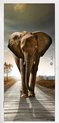 Éléphant