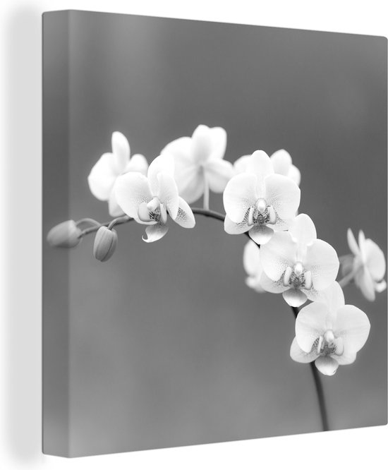Canvas Schilderij Orchidee - Bloemen - Plant - Wit - Paars - 20x20 cm - Wanddecoratie