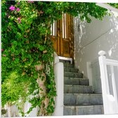 WallClassics - Plaque de Mousse PVC - Arche de Fleurs - 80x80 cm Photo sur Plaque de Mousse PVC (Avec Système d'accrochage)