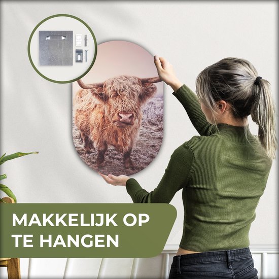 Ovale Mural - Décoration murale Plastique - Peinture Ovale - Highlanders écossais - Neige - Soleil - 40x60 cm - Forme miroir ovale sur plastique