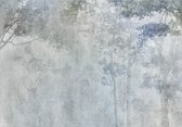 Papier peint photo King - Papier peint non tissé - Papier peint photo Forêt sur mur en béton - 200 x 140 cm