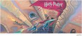 Harry Potter Poster Art Print Chamber Of Secrets Book Cover Artwork Limited Edition 42 x 30 cm Multicolours