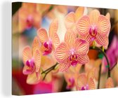 Canvas Schilderij Plant - Orchidee - Bloemen - Roze - Flora - 120x80 cm - Wanddecoratie