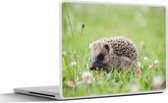 Laptop sticker - 15.6 inch - Kleine egel in gras - 36x27,5cm - Laptopstickers - Laptop skin - Cover
