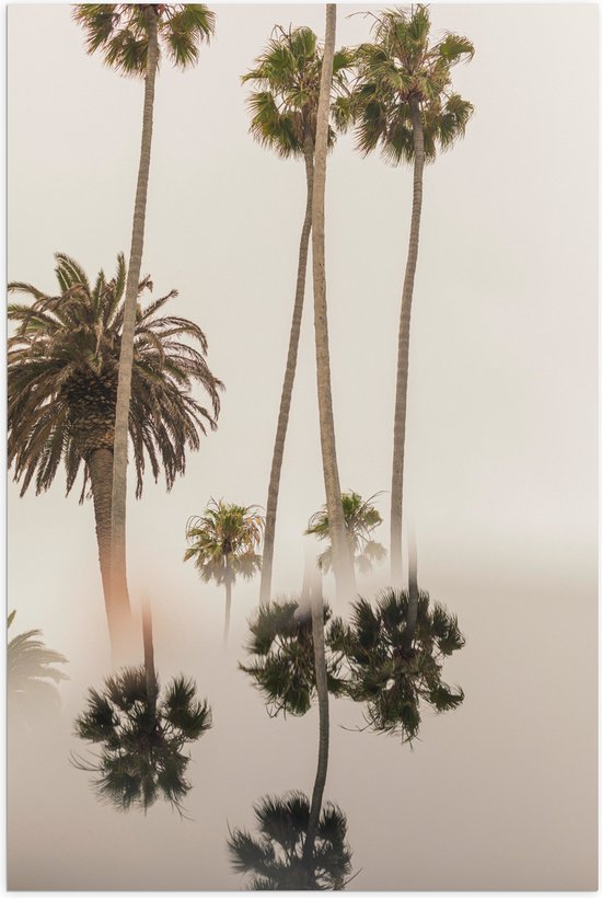 WallClassics - Poster (Mat) - Smalle Palmbomen met Weerspiegeling - 40x60 cm Foto op Posterpapier met een Matte look