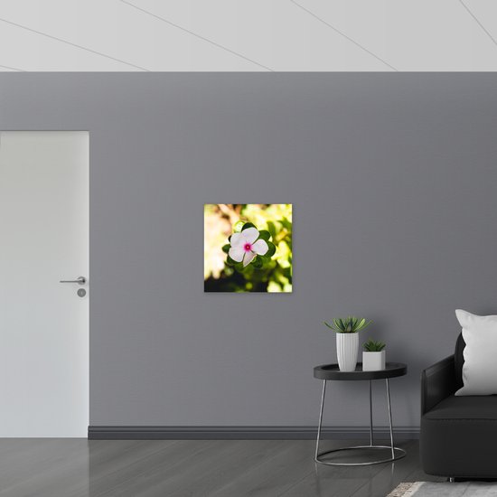 WallClassics - Toile - Bloem rose clair - 60x60 cm Photo sur toile (Décoration murale sur toile)