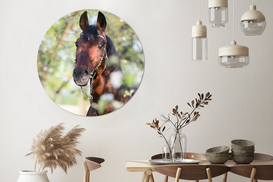 WallCircle - Wandcirkel - Muurcirkel - Paarden - Bloesem - Lente - Dieren - Aluminium - Dibond - ⌀ 140 cm - Binnen en Buiten