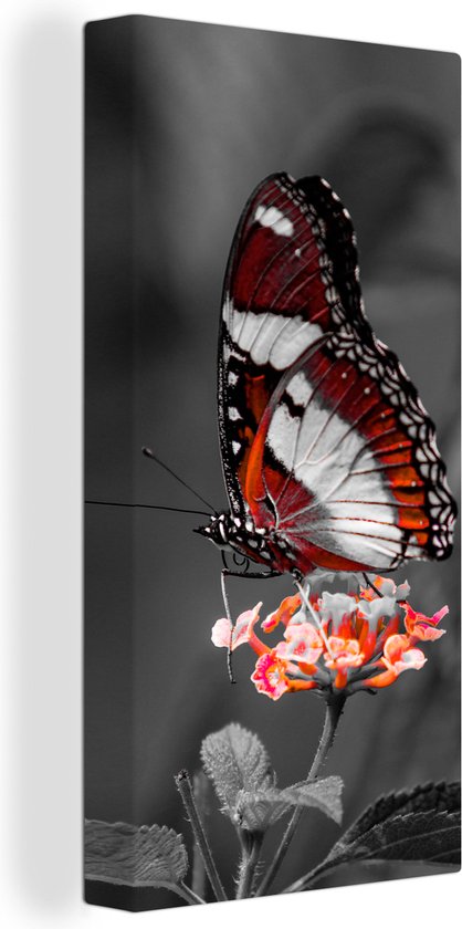 Canvas - Dieren - Vlinder - Bloemen - Natuur - Oranje - Woonkamer - 80x160 cm - Canvas doek - Schilderijen op canvas