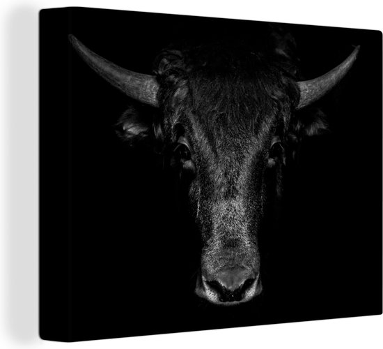Toile - Animaux - Taureau - Zwart - Wit - Photo sur toile - 80x60 cm - Salon - Peintures sur toile