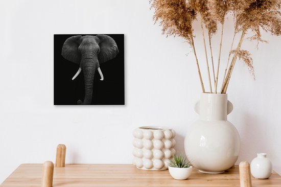 Canvas - Dieren - Olifant - Zwart - Wit - Muurdecoratie - 20x20 cm - Foto op canvas - Canvas schilderijen woonkamer