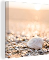Toile - Tableaux sur toile - Coquillages - Plage - Soleil - Décoration de chambre - Toile sur Canvasdoek - Tableau sur toile - 50x50 cm - Salon