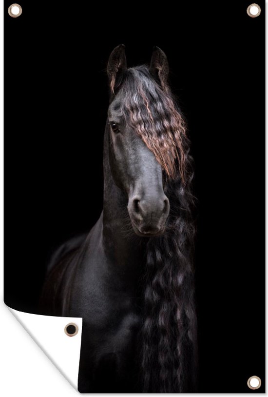 Portrait d'un cheval frison sur fond noir affiche de jardin toile en vrac 60x90 cm - Toile de jardin / Toile d'extérieur / Peintures d'extérieur (décoration de jardin)