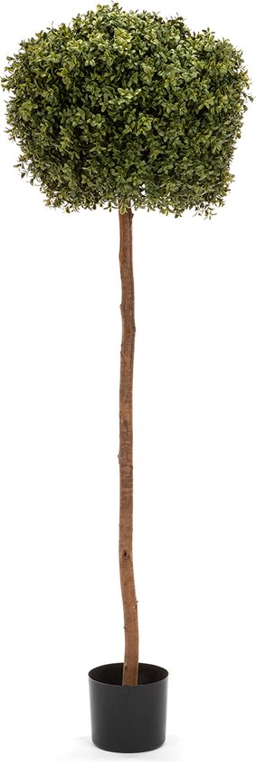Foretti grote buxusboom - Kunstplant - 150 cm - Voor binnen- en buitengebruik