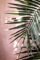 IXXI Palm Leaves 23 - Wanddecoratie - Zomer - 120 x 180 cm