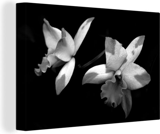 Canvas Schilderij Twee orchidee bloemen - zwart wit - 60x40 cm - Wanddecoratie