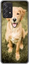 Geschikt voor Samsung Galaxy A53 5G hoesje - Een portret van een Golden Retriever puppy in de tuin - Siliconen Telefoonhoesje