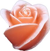 Zalm roze roos figuurkaars met mango papaja geur 100/120 (30 uur)