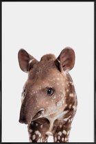 JUNIQE - Poster in kunststof lijst Tapir -20x30 /Bruin