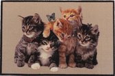 Ikado Deurmat foto kittens 50 x 80 cm