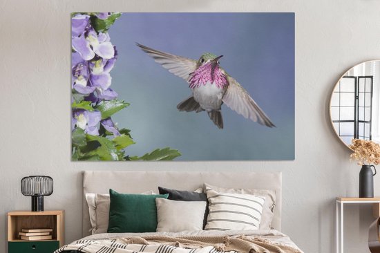 Un colibri calliope aux fleurs violettes Toile 180x120 cm - Tirage photo sur Toile (Décoration murale salon / chambre) XXL / Groot format!