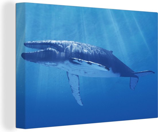 Canvas Schilderij Een illustratie van een blauwe vinvis diep onderwater - 120x80 cm - Wanddecoratie