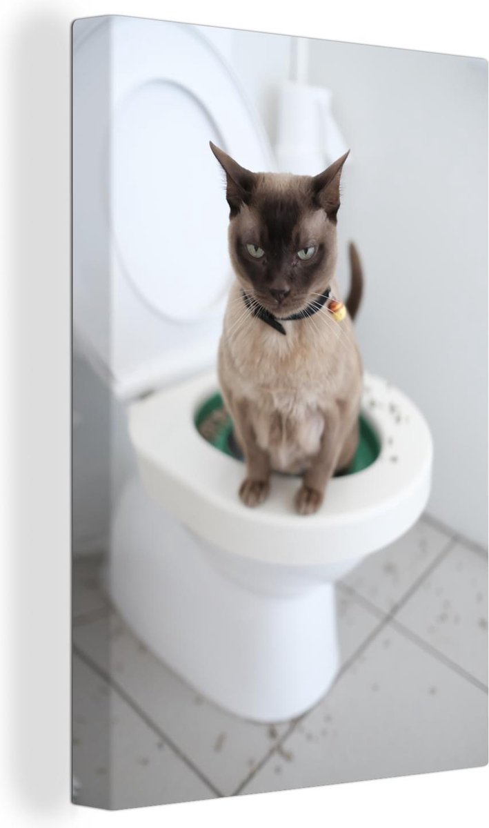 Canvas Schilderij Een Burmees kat zit op het toilet - 20x30 cm - Wanddecoratie