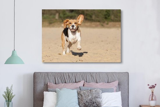 Peintures sur toile - Beagle marche dans le sable - 150x100 cm - Décoration murale
