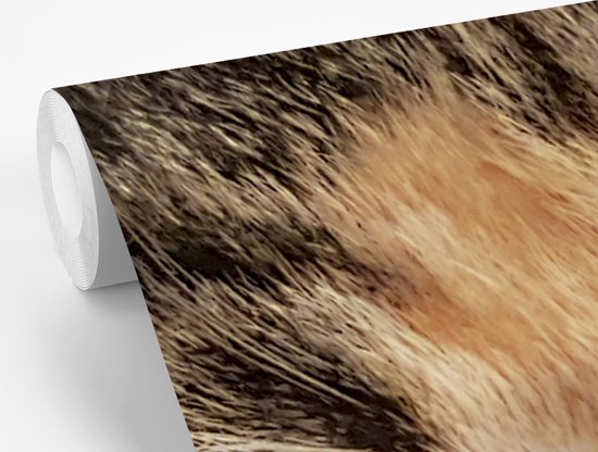 Papier peint photo vinyle - Un gros plan d'un chaton largeur 400 cm x hauteur 300 cm - Tirage photo sur papier peint (disponible en 7 tailles)