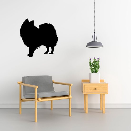 Silhouette chien - Spitz indien - Spitz indien - L - 75x75cm - Zwart - décoration murale