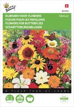 Buzzy - Mélange pour papillons