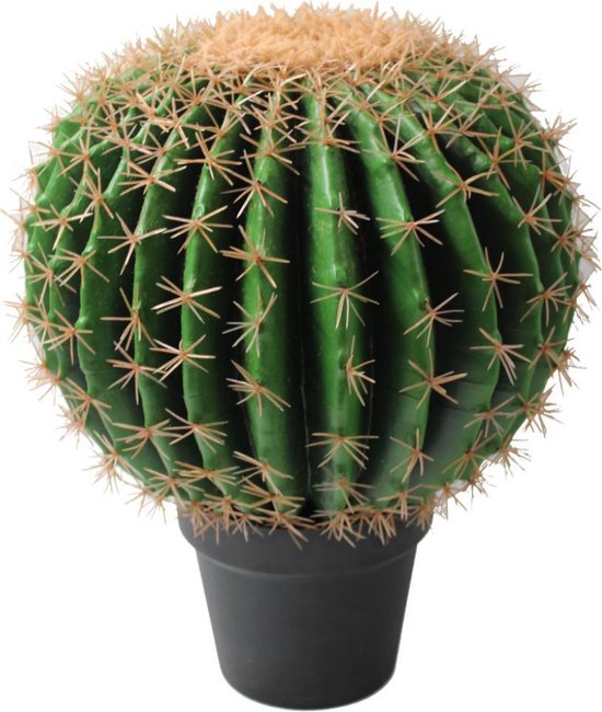 Kunstcactus ∅35cm | Kunst Bolcactus | Cactus Kunstplant | Kunstplanten voor Binnen | Grote Kunstplanten