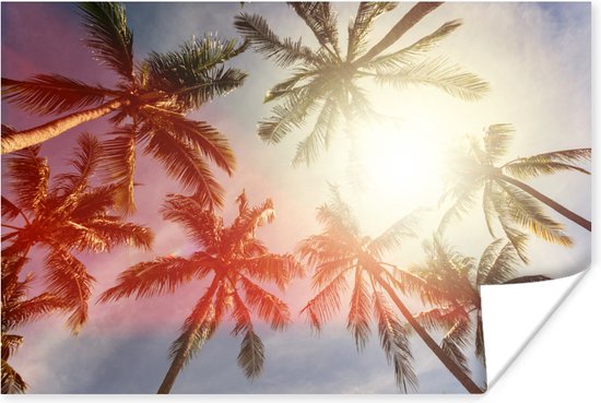 Poster Zon schijnt tussen de bladeren van palmbomen - 60x40 cm