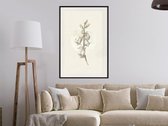 Poster - Beige Campanula-30x45