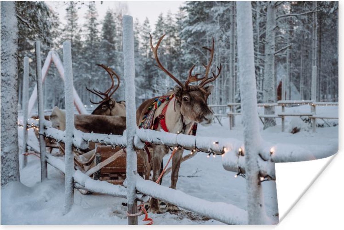 Poster Een rendier in het Dorp van de Kerstman in Finland - 180x120 cm XXL - Kerstversiering - Kerstdecoratie voor binnen - Kerstmis - PosterMonkey