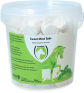 Sweet Tabs Mint pot a 200 stuks