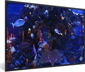 Photo encadrée - Cadre photo aquarium d'eau de mer tropicale noir 30x20 cm - Affiche encadrée (Décoration murale salon / chambre)