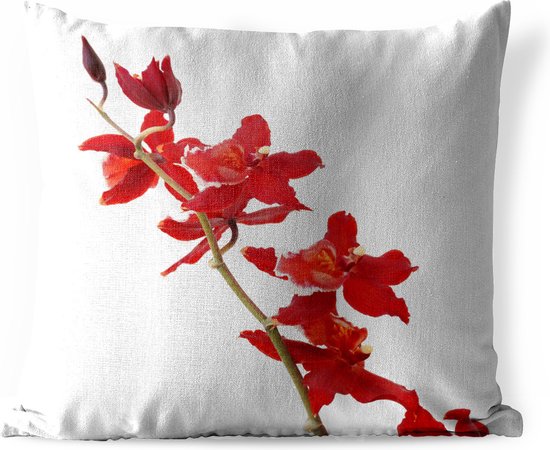 Buitenkussens - Tuin - Rode orchideeën voor een witte achtergrond - 60x60 cm